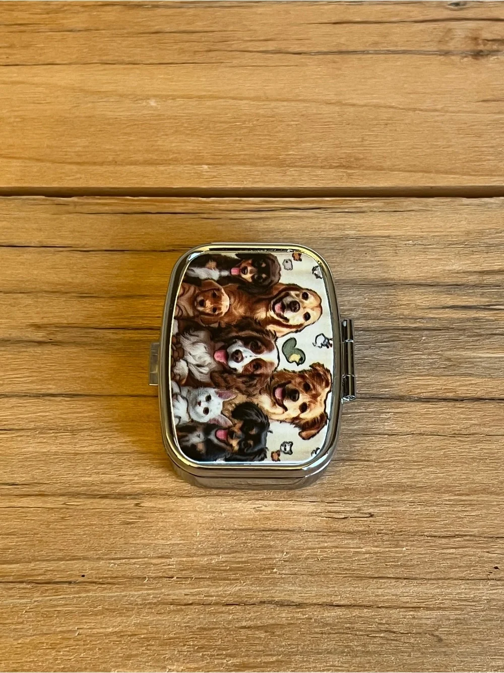 Puppy Theme Design Purse Pill Box/Travel Jewelry-Compact With Lidded Mirror